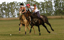 Argentina-Buenos Aires-Pampas Polo and Trail